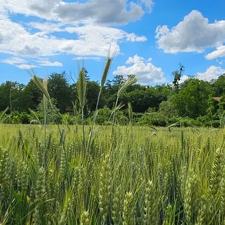 Villa Neo Hill Jezero Bruje *